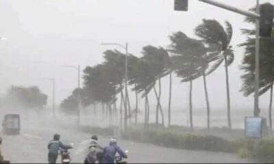 cyclone 800x445 1