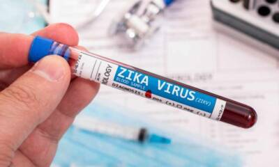 zika virus 2