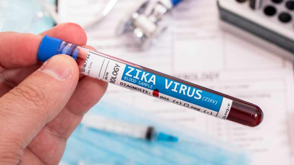 zika virus 2