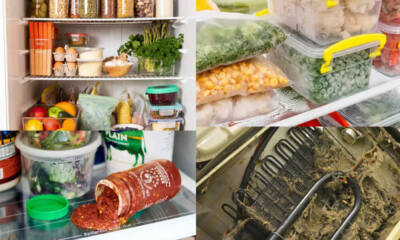 fridge health