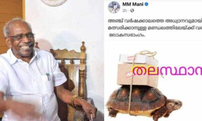 m m mani against hibi eden