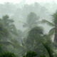 monsoon.1.230654 (1)