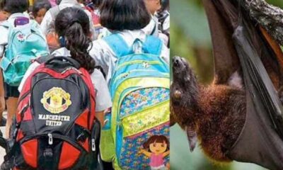 calicut school not following nipah virus instructions