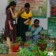 Display of medicinal plants in Keraleeyam