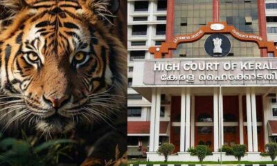 Wayanad Tiger High court (1)