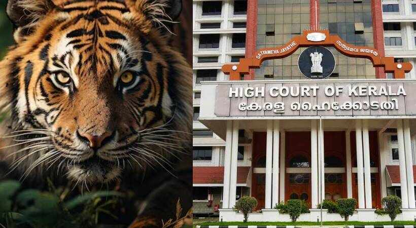 Wayanad Tiger High court (1)
