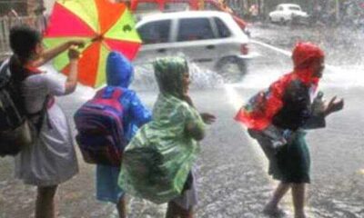rainschools.jpeg